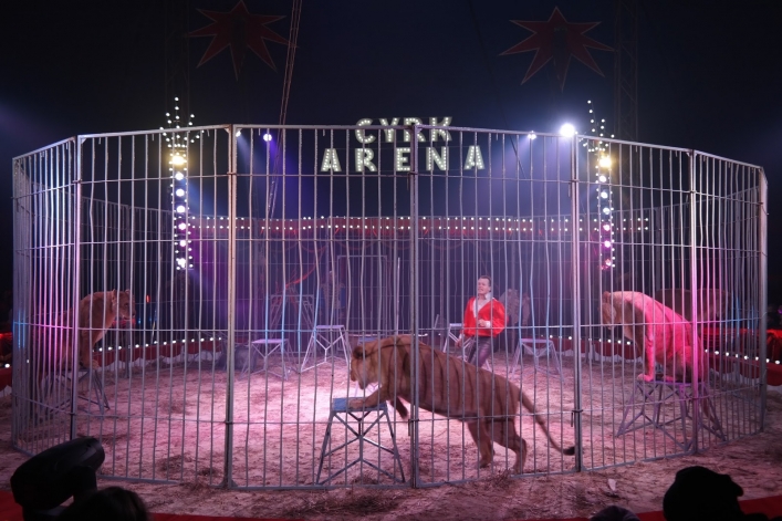  Cyrk Arena odwiedzi Elbląg - KONKURS!