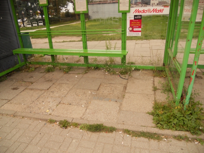  Dla naszego Czytelnika Elbląg jest jak Kambodża. Na swoich zdjęciach pokazuje dlaczego 