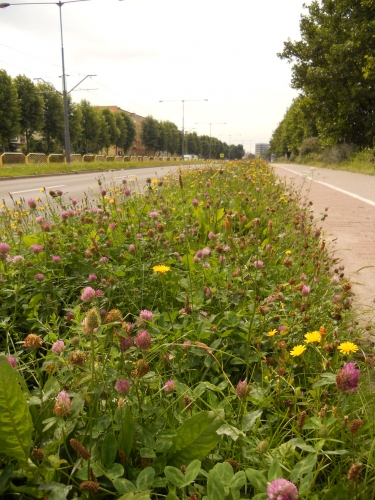  Dla naszego Czytelnika Elbląg jest jak Kambodża. Na swoich zdjęciach pokazuje dlaczego 