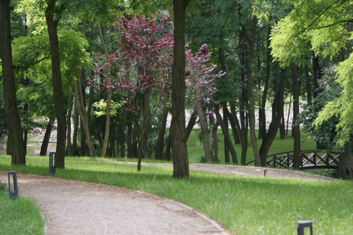 Elbląski akcent w Herbarium Hotel & Spa
