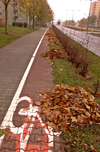  Problemy ze ścieżkami. Do listopada aż 29 wypadków z rowerzystami