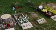 Maria Kosecka zwraca uwagę na brak cmentarza dla zwierząt