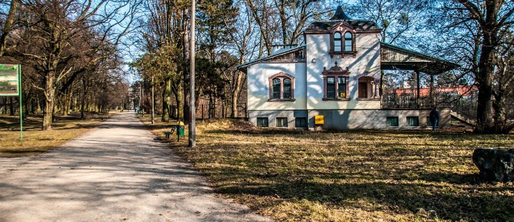Nie będzie rewitalizacji Parku Modrzewie. Dlaczego?