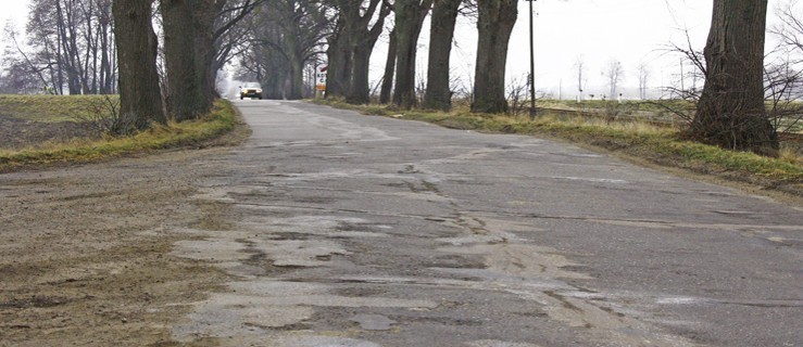 zdjęcie poglądowe ilustrujące artykuł
