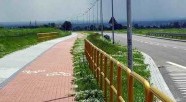Elbląska Modrzewina na podium w programie Jazda polska, czyli jak przetrwać na polskich drogach