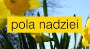 Pola Nadziei w toku...