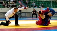 VI Międzynarodowy Turniej SAMBO