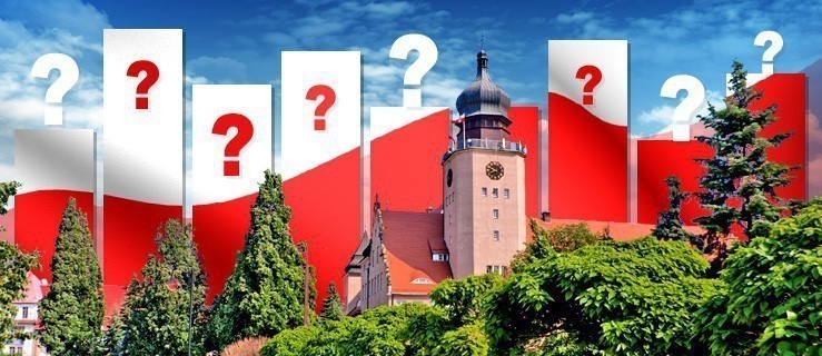 Nowa Prawica przed PO i PiS. Wyniki naszej sondy