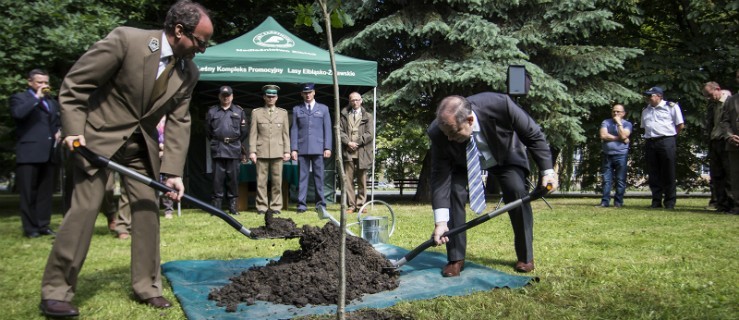 25 lat wolności za nami, 1000 przed nami. Dąb Wolności w Elblągu