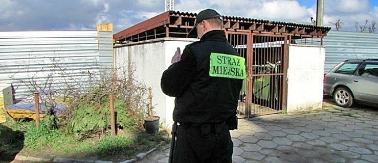 Prezydent radnym zostawia sprawę likwidacji Straży Miejskiej