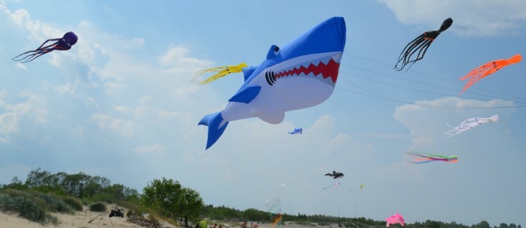 Niebo nad Mikoszewem pełne latawców