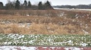 Kolejne tereny na sprzedaż. Tym razem ul. Rosnowskiego