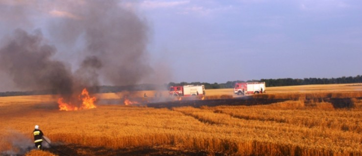 Strażacy walczą z pożarami pól uprawnych i lasów