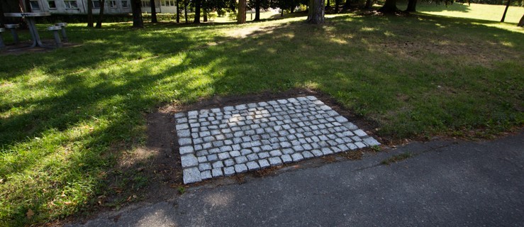 W Parku Modrzewie będą placyki pod ławki