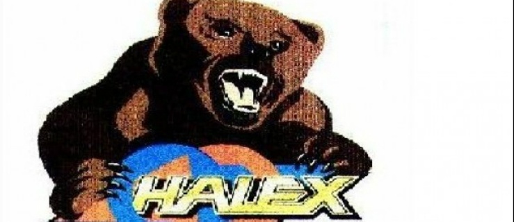 znane logo firmy Halex
