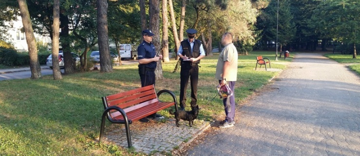 Straż Miejska i Policja kontrolują właścicieli psów