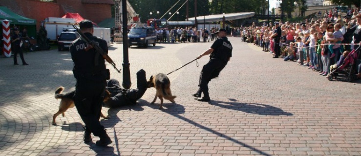 Psy atakowały. Padły strzały