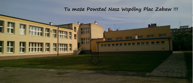 Walczą o 40 tys. zł na plac zabaw dla niepełnosprawnych dzieci