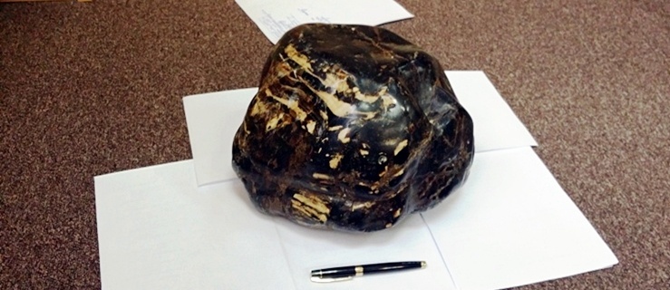 Zatrzymany pod zarzutem kradzieży 8,5 - kilogramowego bursztynu