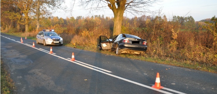 Chcąc ominąć leżące na drodze zwierzę zderzył się czołowo z bmw