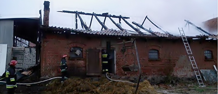 Kilka godzin usuwano skutki pożaru w gospodarstwie w gminie Pieniężno. 