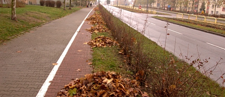 Ścieżka rowerowa przy ul. pułk. Dąbka.