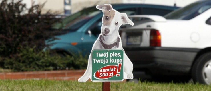 Co z tą kupą?