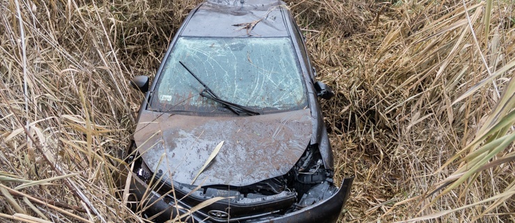 Droga w kierunku Malborka: Toyotą do rowu