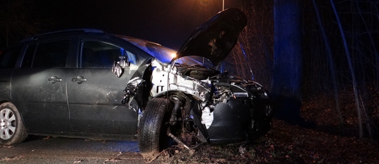 Wypadek w Dąbrowie. Kierowca z możliwymi obrażeniami kręgosłupa