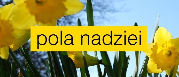 Grafika podglądowa, stanowi ilustrację do artykułu