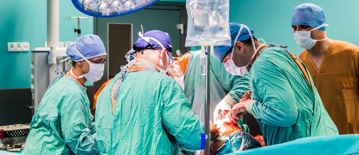 26 stycznia – Dzień Transplantacji