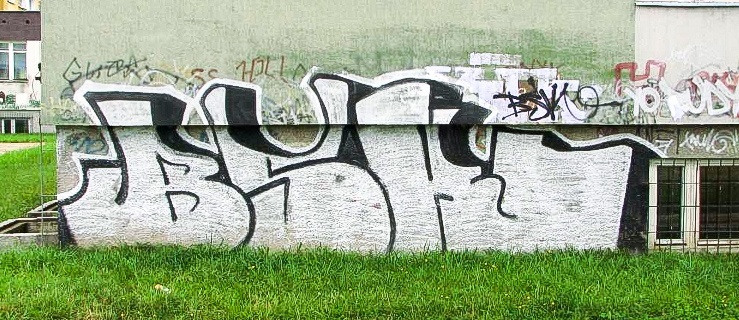 Antygraffiti w walce z wandalami