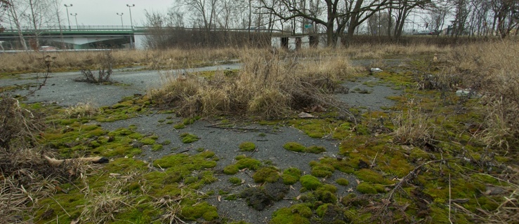Prace ruszą wiosną - teren przy dawnej przystani WOPR odzyska blask?