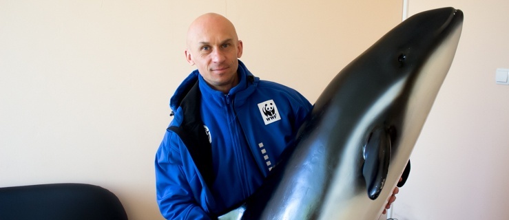 Wojciech Andrearczyk podróżuje z makietą morświna i opowiada o krytycznej sytuacji, w której znajdują się ten morski ssak