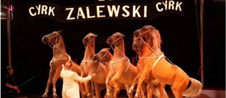 Pokaz sztuki cyrkowej w najlepszym wydaniu. Cyrk Zalewski 29 marca w Elblągu