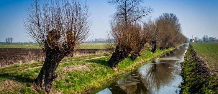 Żuławy znane i nieznane. Fotorelacja z wycieczki po Gronowie Elbląskim