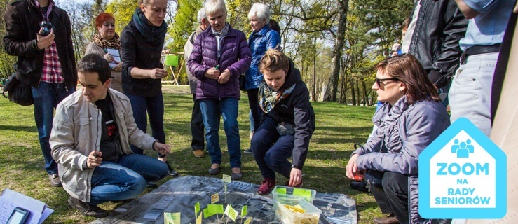 W Parku Modrzewie potrzeba zmian. Jakich?