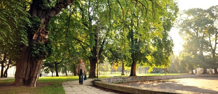 Daj znać: co dalej z placem w Parku Planty?