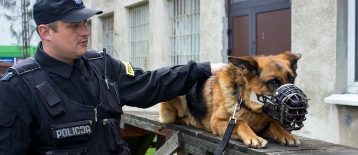 Mł. asp. Mariusz Krężel i jego pies patrolowo-tropiący - Kazan