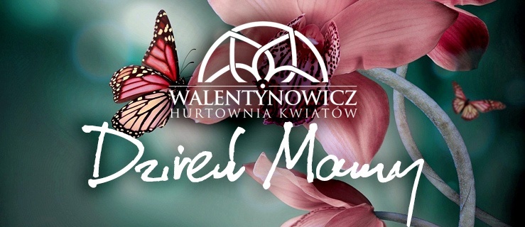 Jakie kwiaty wybrać na Dzień Matki? Podpowiadamy