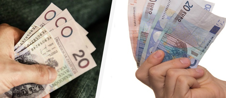 Dyskusja na niedzielę: złoty czy euro? - oto jest pytanie