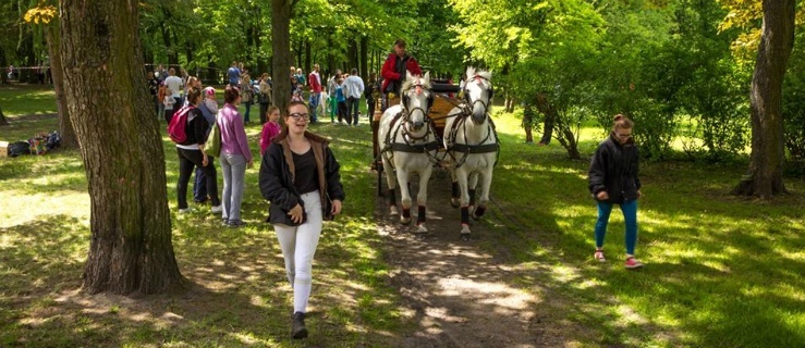 Byli torreadorzy, diabeł tasmański, a w roli głównej Piegus (Zdjęcia)