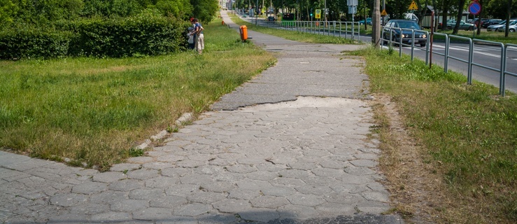 Elbląska aleja przeżyje swój renesans? Trwa analiza ofert