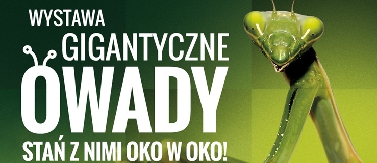 Gigantyczne owady niebawem w CH OGRODY