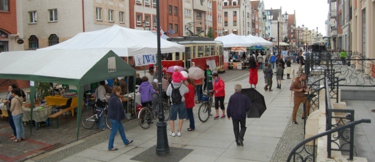 Poznaj elbląskich 