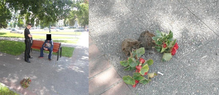 Bezmyślność czy bezczelność?