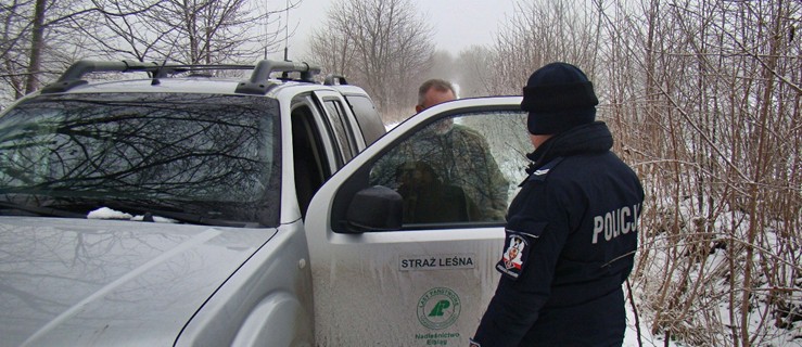 Wspólne patrole Straży Leśnej i Policji. Chcą zapobiec nielegalnej wycince świerków