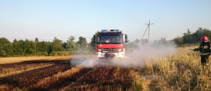 Zagrożenie pożarowe w lasach w całym kraju