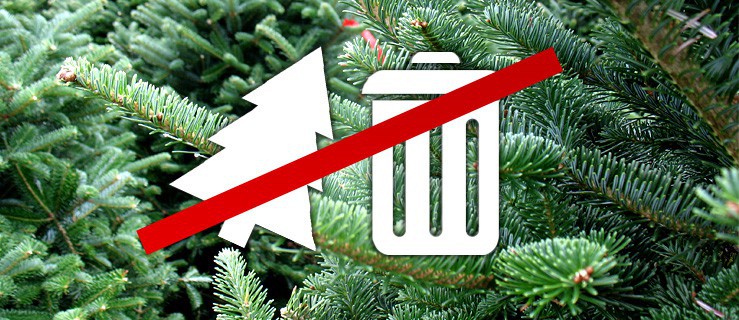 Choinki nie muszą trafić na śmietnik. Mogą za to pomóc niepełnosprawnym dzieciom