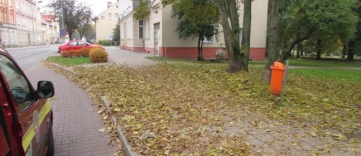 Straż Miejska przypomina o jesiennych obowiązkach właścicieli nieruchomości